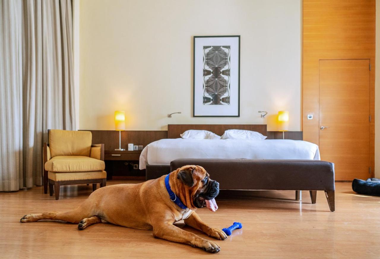 Hyatt Gachibowli Hyderabad